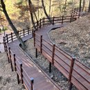 흥림산자연휴양림 이미지