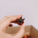 한미농장 이미지