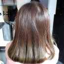 신백로 8길 이미지