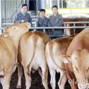 성보축산 이미지