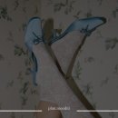 컬러스퀘어(COLOR SQUARE) | 웨딩 촬영 슈즈 추천 모음 | 사진 잘 나오는 슈즈 고르기