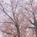 뉴실로암안경 이미지