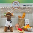 용인예술과학대학교 이미지