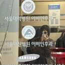 강남코모키이비인후과의원 이미지