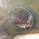 인천낚시터 이미지