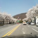 단양농협주유소 이미지