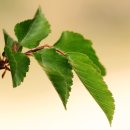 인천환경공단 청라사업소 이미지