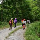 외씨버선길(영양연결구간) 이미지