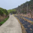 화산면565 이미지