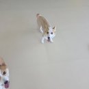 천사유치원 | 유치원 🎒 보물찾기 간식을 선생님께 양보한 천사 소다...너머로 전해지는 감동과 선생님 생일 축하 후기 ✨