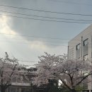 앞산카페거리 이미지