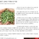 농업회사법인(유)이삭 이미지