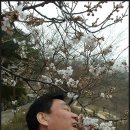 용천(안산) 이미지