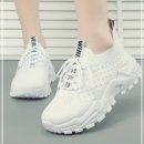 6703 이미지