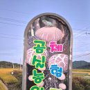 웅곡길 네이버블로그