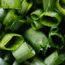 일산동물의료원 이미지