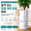 서울센트럴정신건강의학과의원 | 심리상담센터 정신건강의학과 아동청소년클리닉 품격있는 맞춤 개원 화분 배송