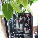 파파스디마지오 이미지