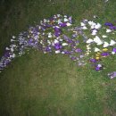 길따라행운 이미지