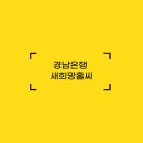 새희망 이미지