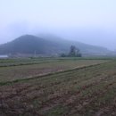 백동무궁화동산 | 진도지맥(4구간) : 연대산-월출산-희여산-앞산-한복산 구간