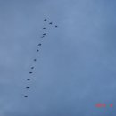 대구대학교 영덕연수원 이미지