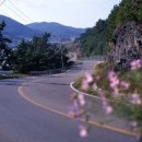 산양일주로 이미지