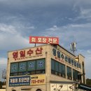 순천 회 포장 맛집 영일수산, 모둠회와 낙지탕탕이 푸짐했던 후기