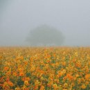 그리고봄 이미지