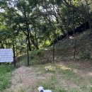 멍이네 하우스 | [하남애견동반카페] 푼타하우스 방문 (여름방문, 우리빼고 1팀있을 때 후기)