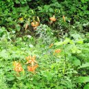 설악농장 이미지