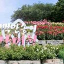 도당 공영 주차장 이미지