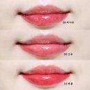 11500-19-80-05 | "정말 안 지워질까?" 내돈내산 브레이 틴트 지속력 후기 (리나운, 오운, 허틀)