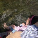 청계천카랜드 이미지