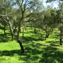 러쉬(LUSH) 이미지