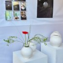 2025 대전 서구 아트페스티벌 | 2025 대전 서구 아트페스티벌 후기