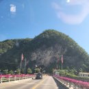 정든 캠핑장 | 🏕️ 영월 정든캠핑장에서 즐긴 완벽한 먹방 캠핑! 7월 여름 힐링 여행기