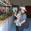 전국야생화전시회 이미지