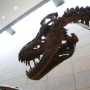 지질자원연구원 지질박물관 이미지