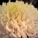 화순장례식장 이미지