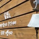 요티인 목포 이미지