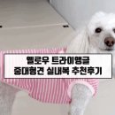 중대형견 실내복 추천 옐로우트라이앵글 민소매 옷 후기