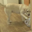 호야농장 이미지