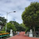 사성농장 | 2025년 10월 [구례 가볼만한곳 오산 사성암], 내려다본 섬진강과 구례평야 가을전경,절벽에 그려진 원효...