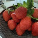 (주)샤인마스터 | 임산부 기록 30주차 | 태아수신증으로 전남대병원 산부인과 임산부 진료보고 먹부림 했던 한 주