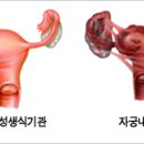 순풍산부인과의원 이미지