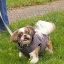 산책하다 이미지