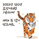 쿨펫 동물병원 동구점 이미지