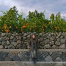 늘보목장 이미지