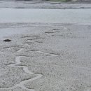 벌교농협조성지점 | 남파랑길63코스<벌교~팔영농협망주지소>